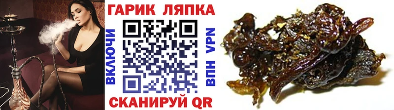 ГАШИШ индика сатива Зея