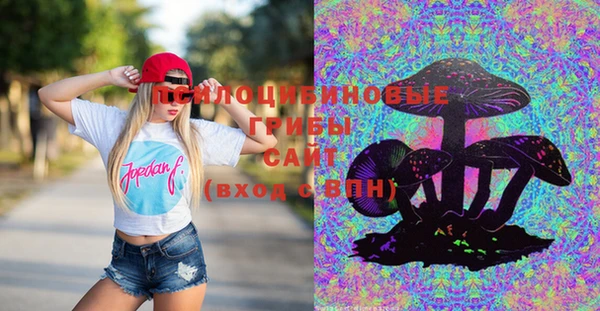 винт Абинск