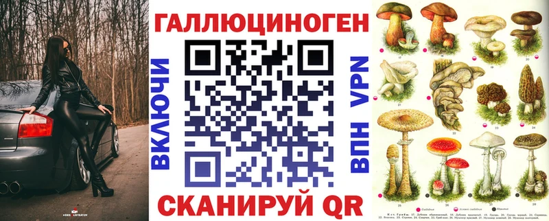 купить наркоту  Зея  Псилоцибиновые грибы Psilocybine cubensis 